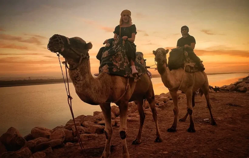 Camel ride with barbecue
